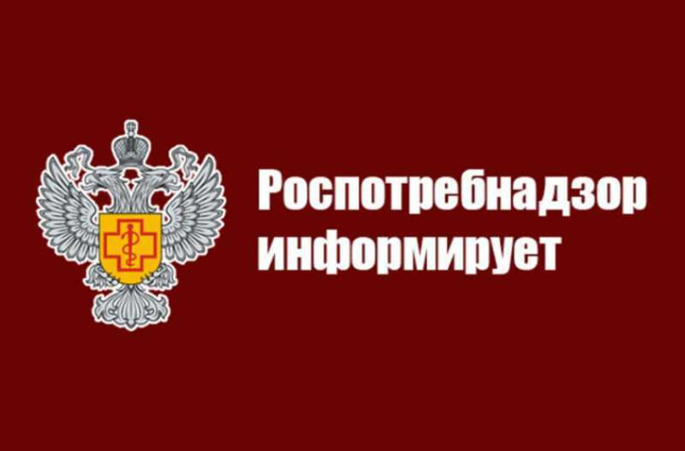 Территориальный отдел Управления Роспотребнадзора по Кировской области в Вятскополянском районе информирует о проведении тематической «горячей линии» по вопросам детского отдыха, качества и безопасности детских товаров. Территориальный отдел Управления Роспотребнадзора по Кировской области в Вятскополянском районе информирует о проведении тематической «горячей линии» по вопросам детского отдыха, качества и безопасности детских товаров.
