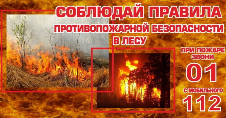 Пожарная безопасность в лесах.. Пожарная безопасность в лесах..